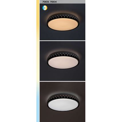 Rabalux - LED Stmívatelné stropní svítidlo LED/48W/230V 3000-6500K + dálkové ovládání