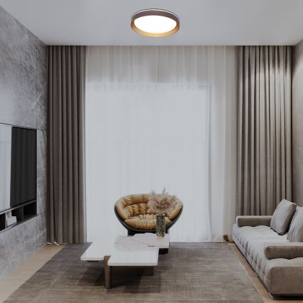 Rabalux - LED Stmívatelné stropní svítidlo LED/48W/230V 3000-6500K + dálkové ovládání