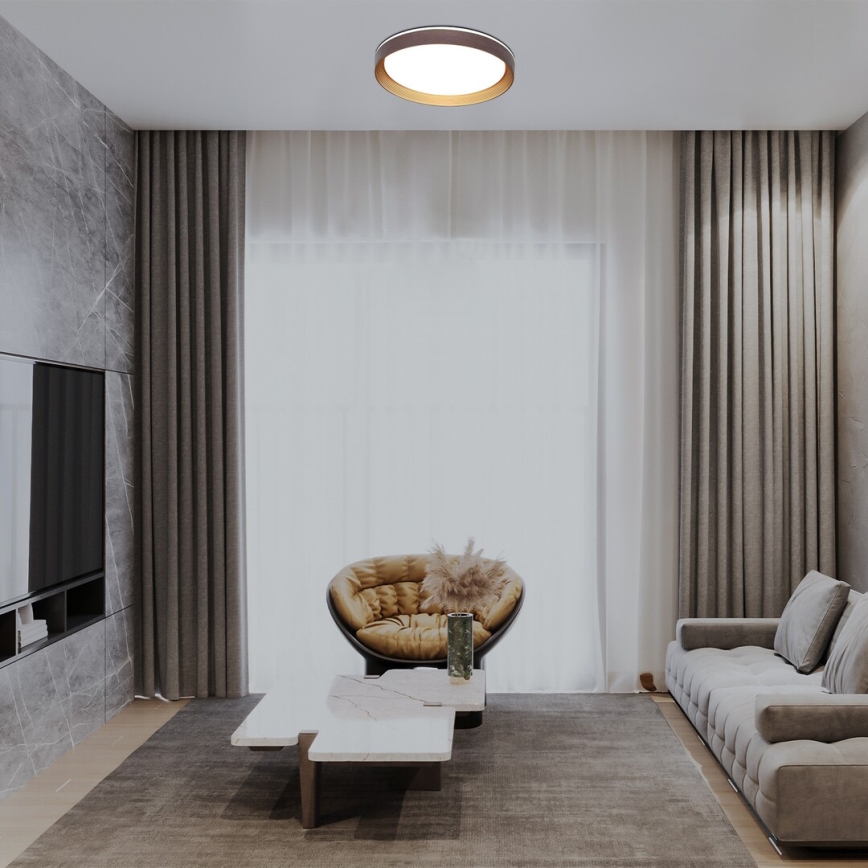 Rabalux - LED Stmívatelné stropní svítidlo LED/48W/230V 3000-6500K + dálkové ovládání