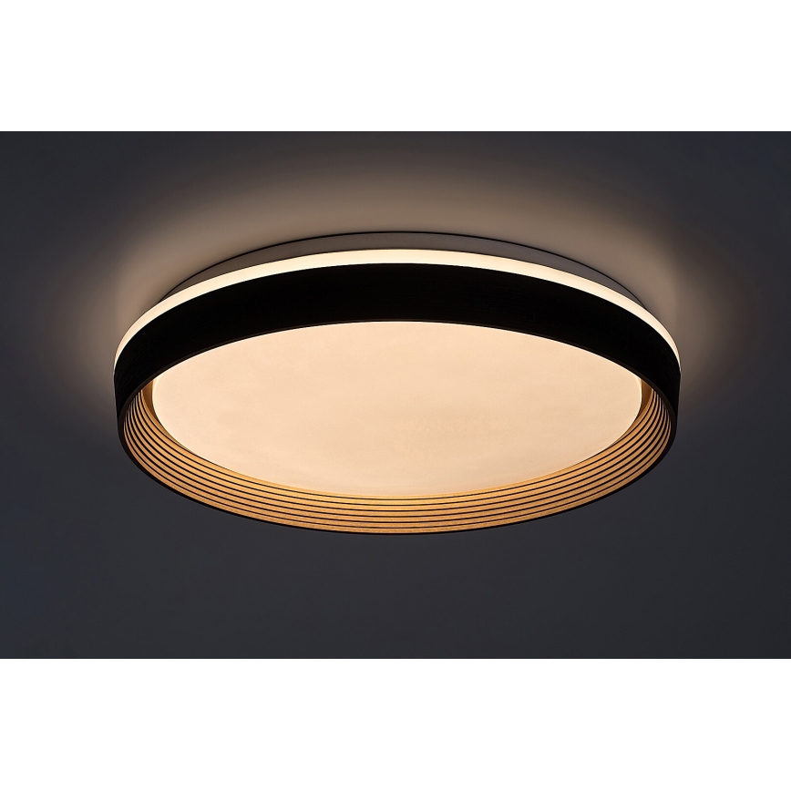 Rabalux - LED Stmívatelné stropní svítidlo LED/48W/230V 3000-6500K + dálkové ovládání