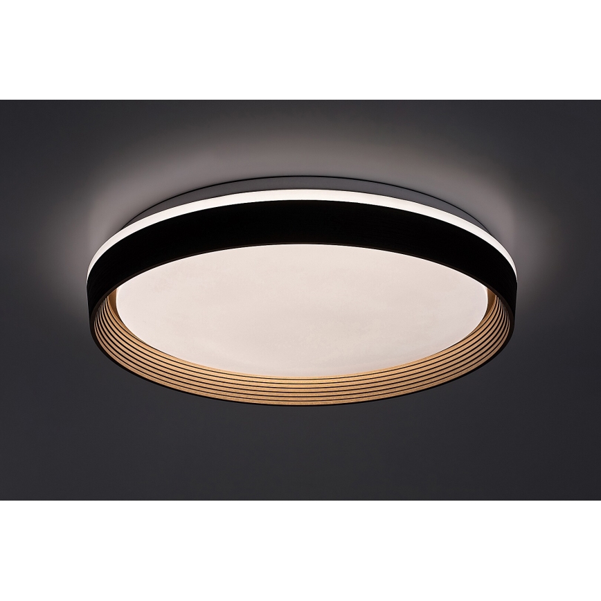 Rabalux - LED Stmívatelné stropní svítidlo LED/48W/230V 3000-6500K + dálkové ovládání