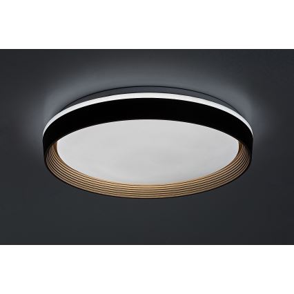 Rabalux - LED Stmívatelné stropní svítidlo LED/48W/230V 3000-6500K + dálkové ovládání