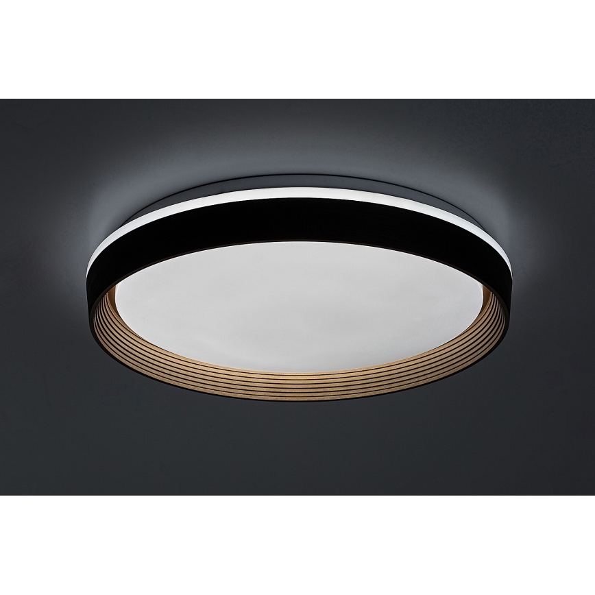 Rabalux - LED Stmívatelné stropní svítidlo LED/48W/230V 3000-6500K + dálkové ovládání
