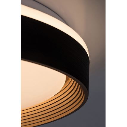 Rabalux - LED Stmívatelné stropní svítidlo LED/48W/230V 3000-6500K + dálkové ovládání