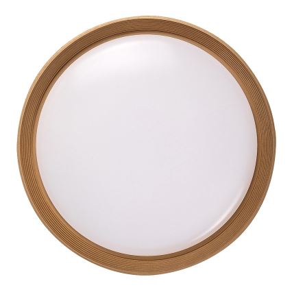 Rabalux - LED Stmívatelné stropní svítidlo LED/48W/230V 3000-6500K + dálkové ovládání