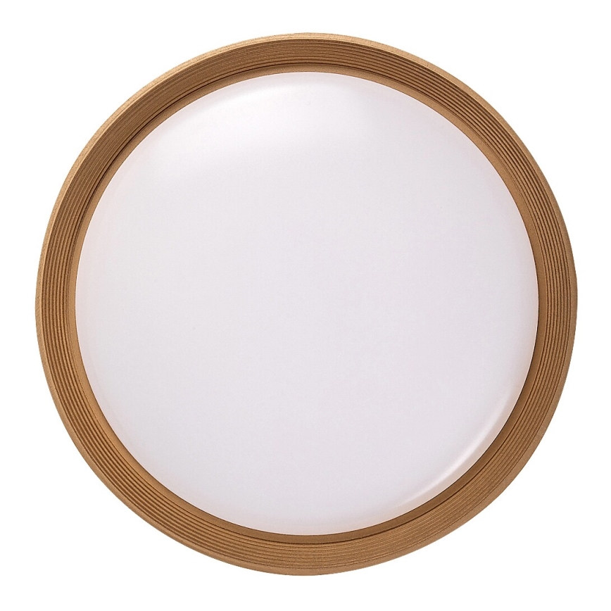 Rabalux - LED Stmívatelné stropní svítidlo LED/48W/230V 3000-6500K + dálkové ovládání