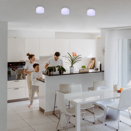 Rabalux - LED Stropní svítidlo LED/24W/230V 3000K bílá
