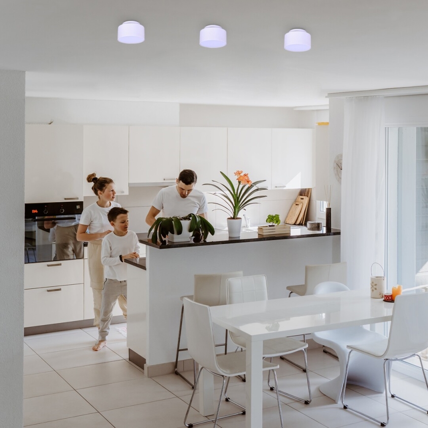 Rabalux - LED Stropní svítidlo LED/24W/230V 3000K bílá