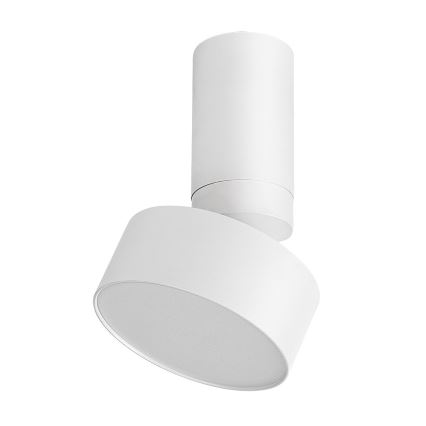 Rabalux - LED Stropní svítidlo LED/10W/230V 3000K bílá