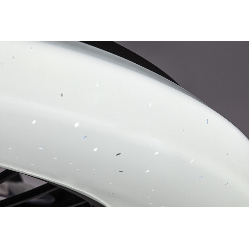 Rabalux - LED Stmívatelné stropní svítidlo s ventilátorem LED/48W/230V 3000-6500K + dálkové ovládání