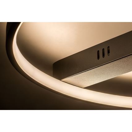Rabalux - LED Stropní svítidlo LED/45W/230V 3000K 50x55 cm černá