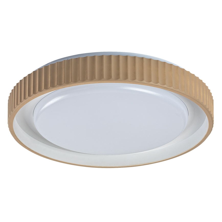 Rabalux - LED Stmívatelné stropní svítidlo LED/48W/230V 3000-6500K pr. 49,5 cm + dálkové ovládání