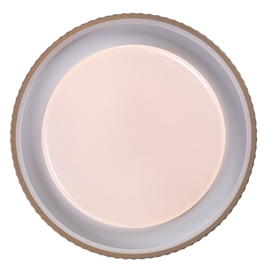 Rabalux - LED Stmívatelné stropní svítidlo LED/48W/230V 3000-6500K pr. 49,5 cm + dálkové ovládání