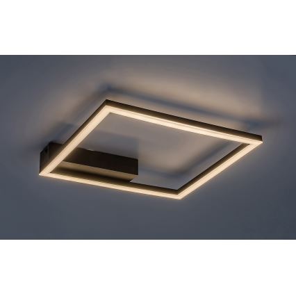Rabalux - LED Stropní svítidlo LED/24W/230V 3000K