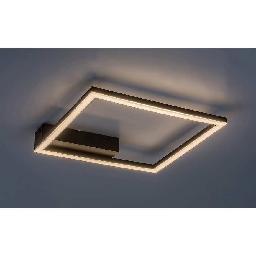 Rabalux - LED Stropní svítidlo LED/24W/230V 3000K