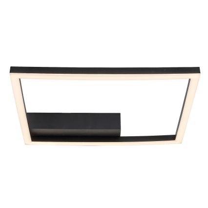 Rabalux - LED Stropní svítidlo LED/24W/230V 3000K