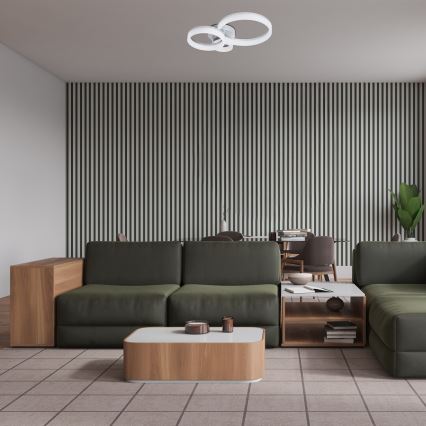 Rabalux - LED Stropní svítidlo LED/24W/230V 3000/4000/6500K 38x51 cm matný chrom