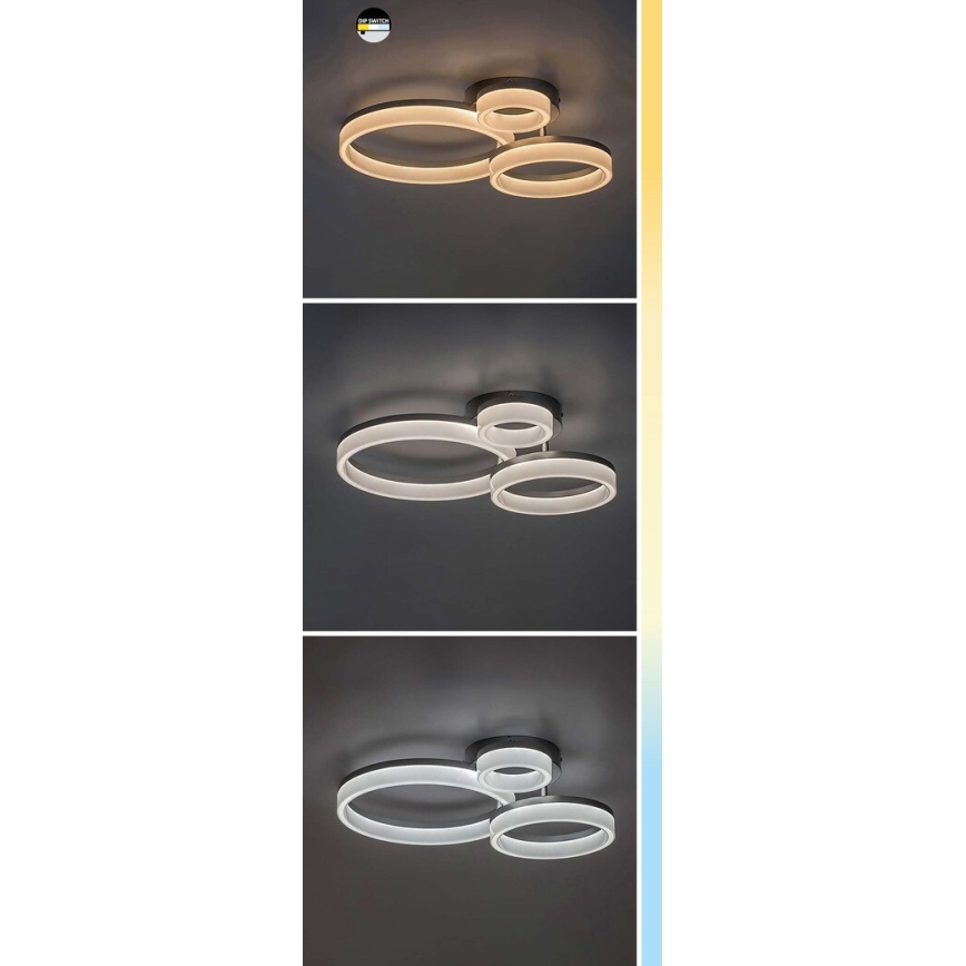 Rabalux - LED Stropní svítidlo LED/24W/230V 3000/4000/6500K 38x51 cm matný chrom