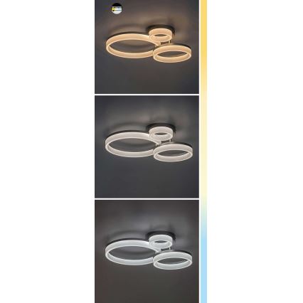 Rabalux - LED Stropní svítidlo LED/24W/230V 3000/4000/6500K černá