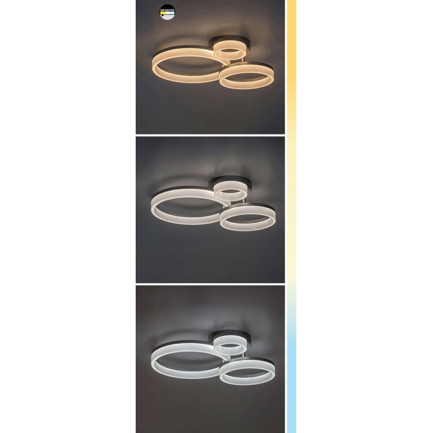 Rabalux - LED Stropní svítidlo LED/24W/230V 3000/4000/6500K černá