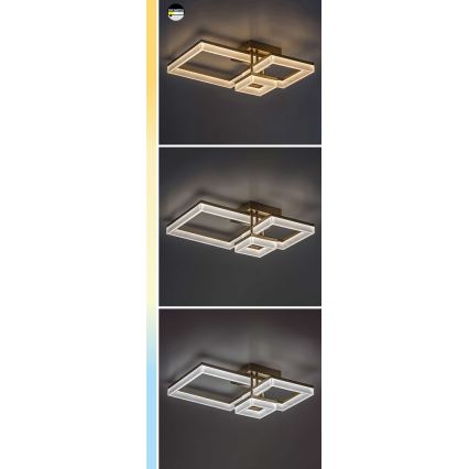 Rabalux - LED Stropní svítidlo LED/22W/230V 3000/4000/6500K černá