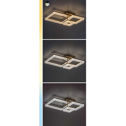 Rabalux - LED Stropní svítidlo LED/22W/230V 3000/4000/6500K matný chrom