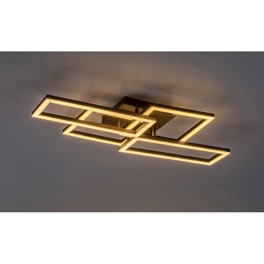Rabalux - LED Stmívatelné stropní svítidlo LED/40W/230V 3000-6500K + dálkové ovládání