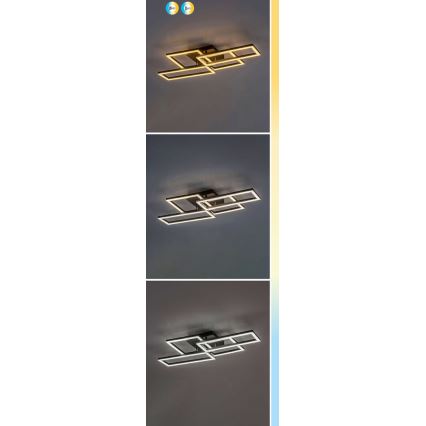 Rabalux - LED Stmívatelné stropní svítidlo LED/40W/230V 3000-6500K + dálkové ovládání