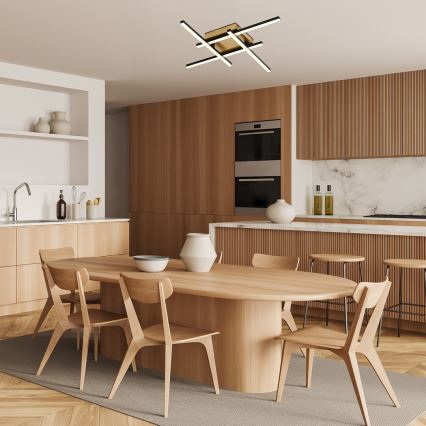 Rabalux - LED Stropní svítidlo LED/24W/230V 4000K