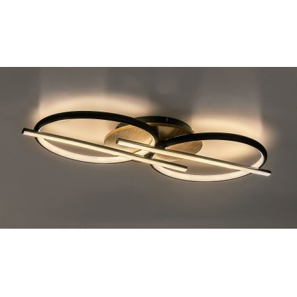 Rabalux - LED Stropní svítidlo LED/40W/230V 3000/4000/6500K