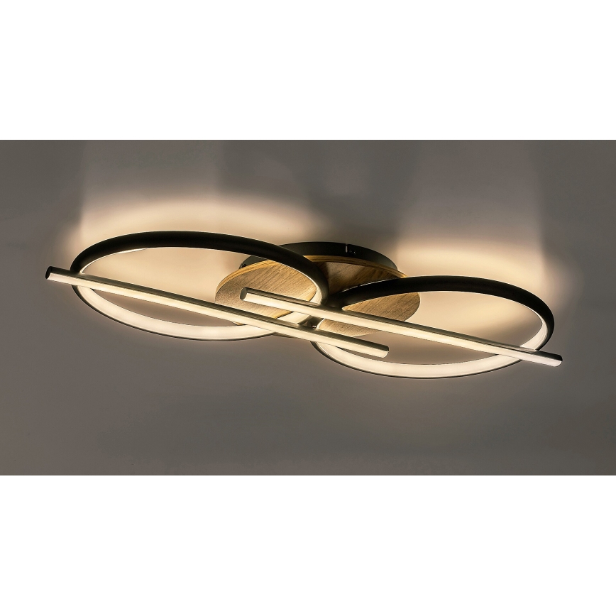 Rabalux - LED Stropní svítidlo LED/40W/230V 3000/4000/6500K