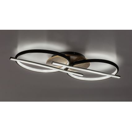 Rabalux - LED Stropní svítidlo LED/40W/230V 3000/4000/6500K