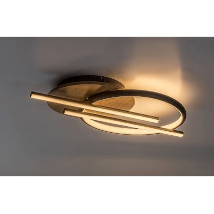 Rabalux - LED Stropní svítidlo LED/40W/230V 3000/4000/6500K