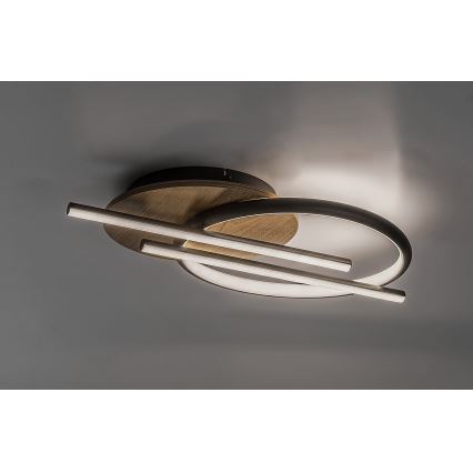 Rabalux - LED Stropní svítidlo LED/40W/230V 3000/4000/6500K