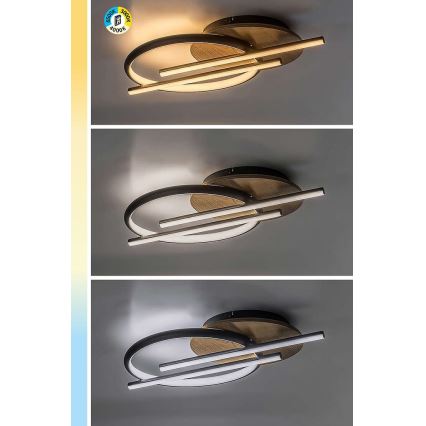 Rabalux - LED Stropní svítidlo LED/40W/230V 3000/4000/6500K