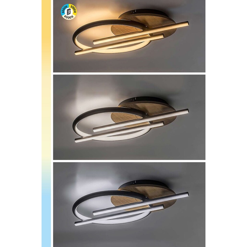 Rabalux - LED Stropní svítidlo LED/40W/230V 3000/4000/6500K