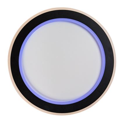 Rabalux - LED RGB Stmívatelné stropní svítidlo LED/22W/230V 3000-6500K + dálkové ovládání