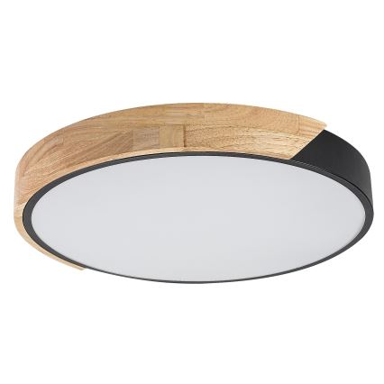 Rabalux - LED Stropní svítidlo LED/24W/230V 4000K pr. 41 cm