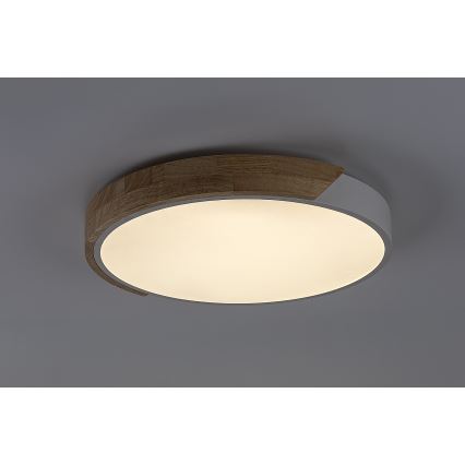 Rabalux - LED Stropní svítidlo LED/24W/230V 3000K bílá/dub pr. 61 cm