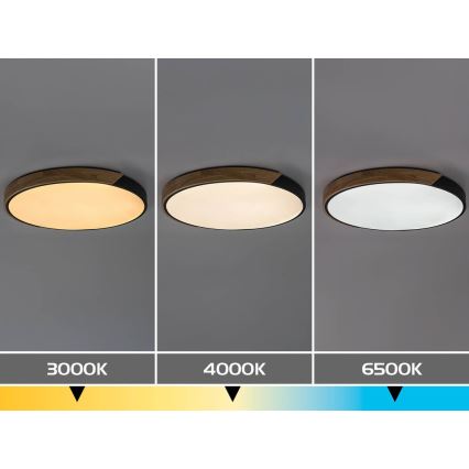 Rabalux - LED Stropní svítidlo LED/42W/230V 3000/4000/6500K černá/dub pr. 41 cm