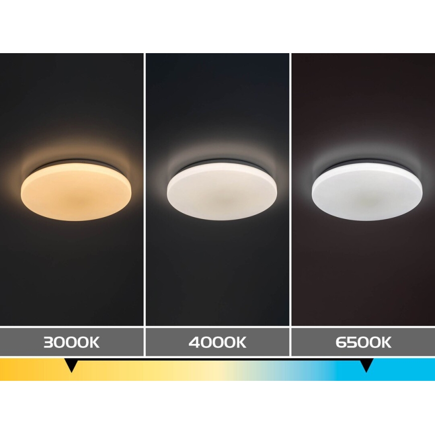 Rabalux - LED Stmívatelné stropní svítidlo LED/60W/230V 3000-6500K pr. 58 cm + dálkové ovládání