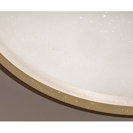 Rabalux - LED Stmívatelné stropní svítidlo LED/34W/230V 3000-6500K pr. 38 cm + dálkové ovládání