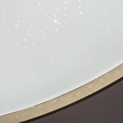 Rabalux - LED Stmívatelné stropní svítidlo LED/34W/230V 3000-6500K pr. 38 cm + dálkové ovládání
