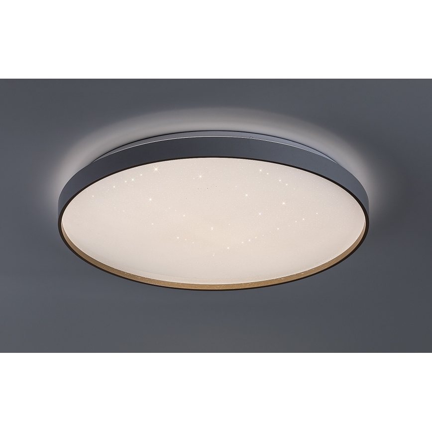 Rabalux - LED Stmívatelné stropní svítidlo LED/60W/230V 3000-6500K pr. 58 cm + dálkové ovládání