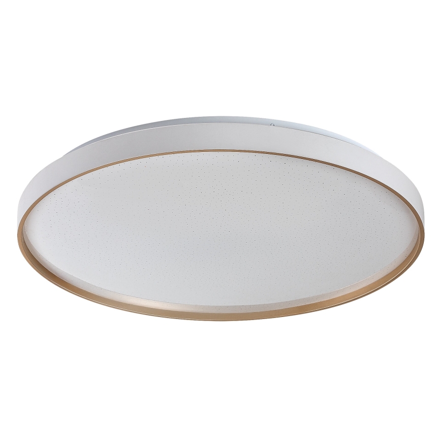 Rabalux - LED Stmívatelné stropní svítidlo LED/60W/230V 3000-6500K pr. 58 cm + dálkové ovládání