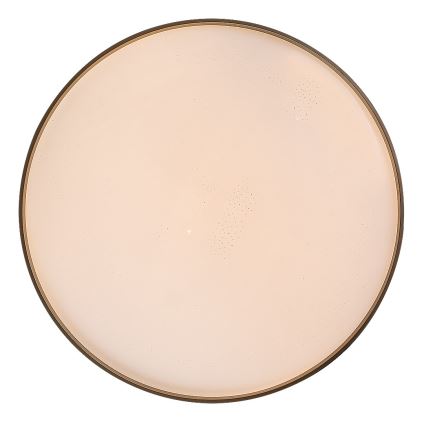 Rabalux - LED Stmívatelné stropní svítidlo LED/60W/230V 3000-6500K pr. 58 cm + dálkové ovládání