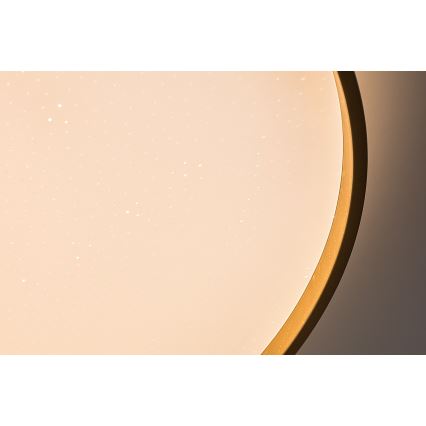 Rabalux - LED Stmívatelné stropní svítidlo LED/60W/230V 3000-6500K pr. 58 cm + dálkové ovládání