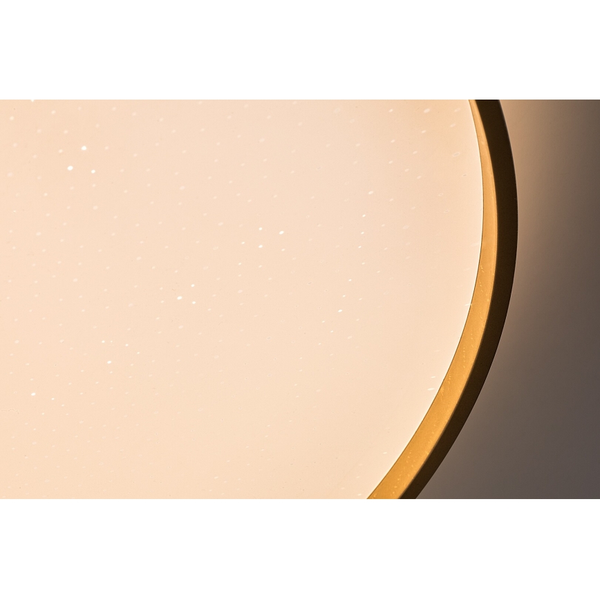Rabalux - LED Stmívatelné stropní svítidlo LED/60W/230V 3000-6500K pr. 58 cm + dálkové ovládání