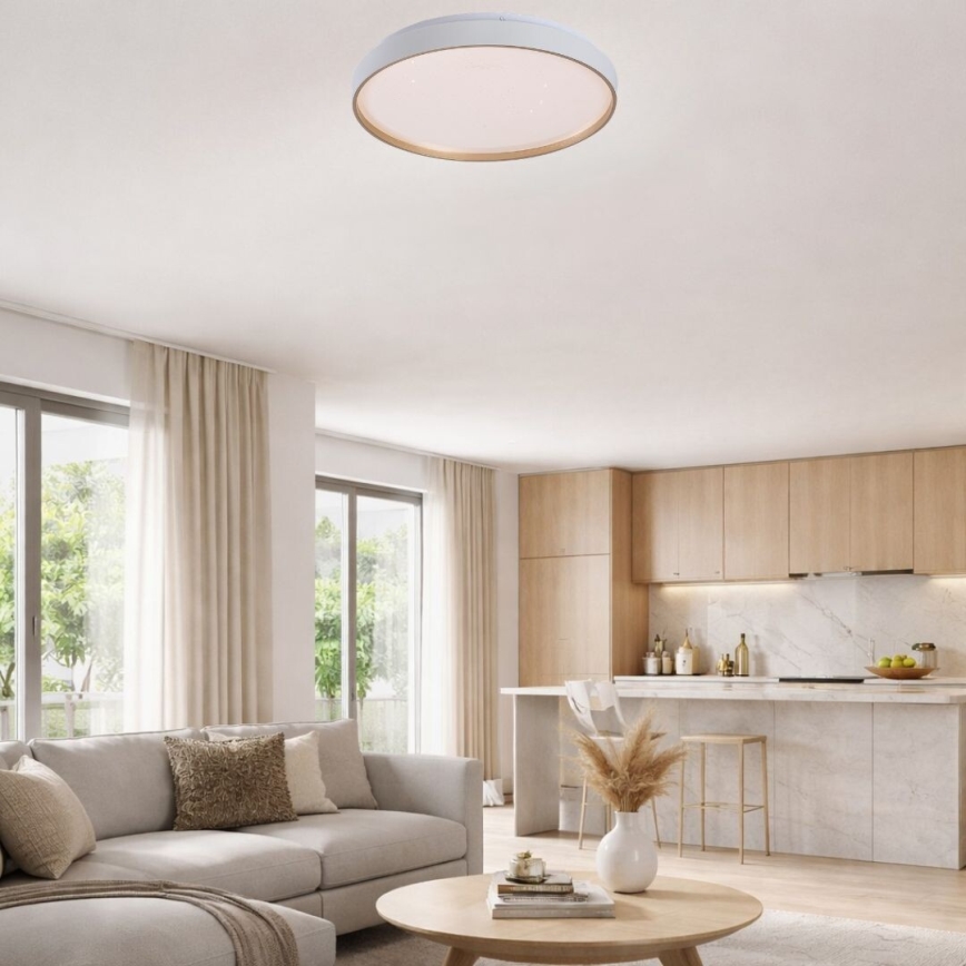 Rabalux - LED Stmívatelné stropní svítidlo LED/80W/230V 3000-6500K pr. 77 cm + dálkové ovládání