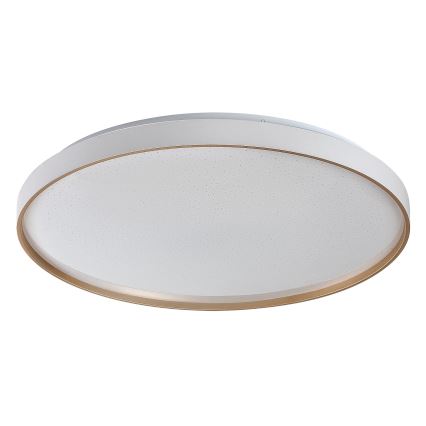 Rabalux - LED Stmívatelné stropní svítidlo LED/80W/230V 3000-6500K pr. 77 cm + dálkové ovládání